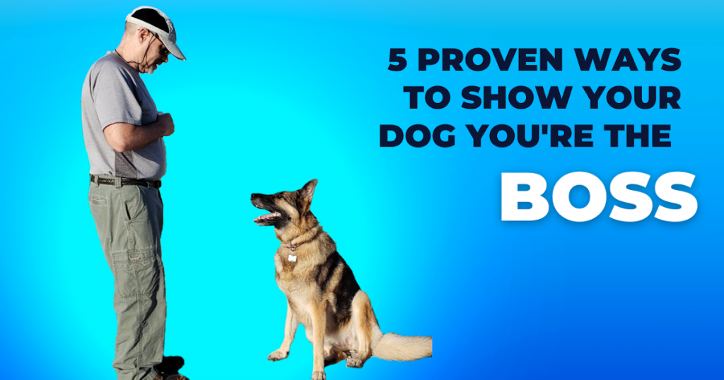 5 Proven Ways to Show Your Dog You're The Boss