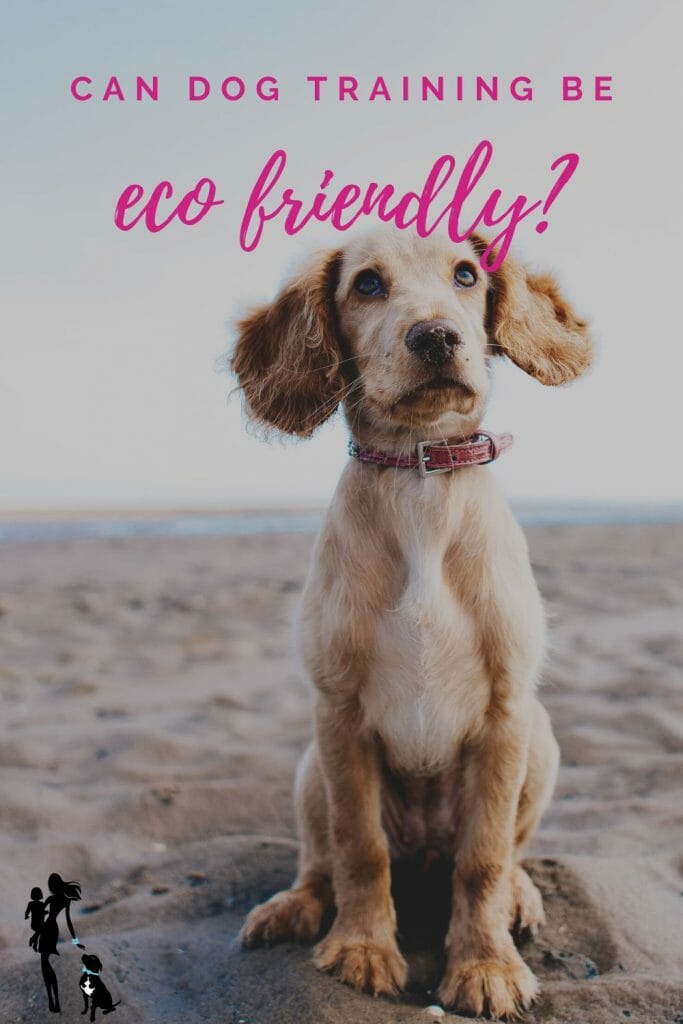 Easy Tips for Eco-Friendly Dog Training