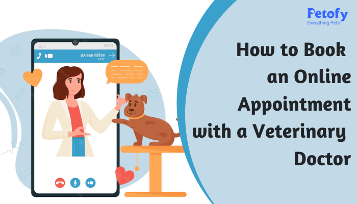 How to Book an Online Appointment with a Veterinary Doctor